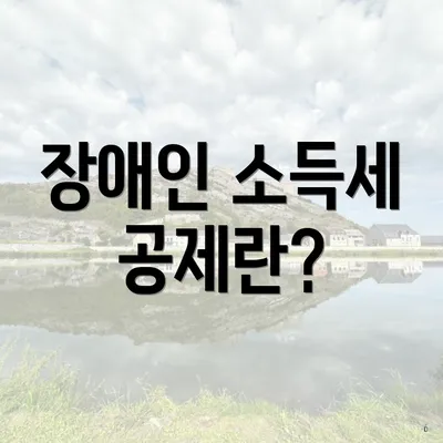 장애인 소득세 공제란?