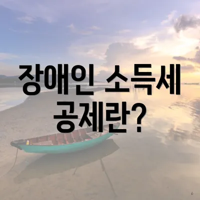 장애인 소득세 공제란?