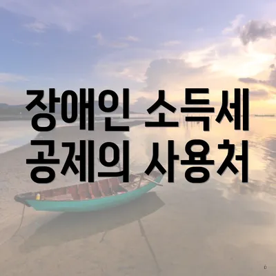 장애인 소득세 공제의 사용처