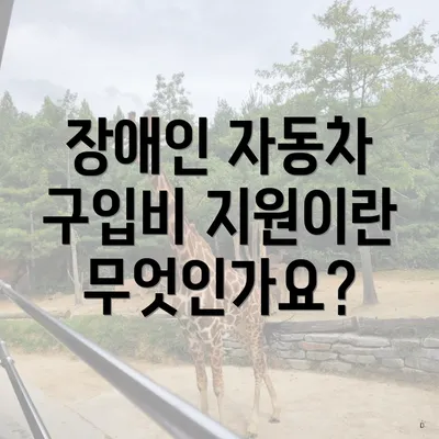 장애인 자동차 구입비 지원이란 무엇인가요?