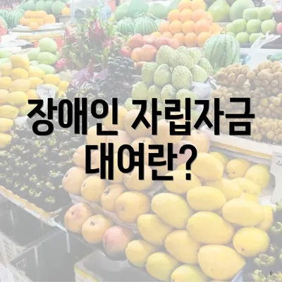 장애인 자립자금 대여란?