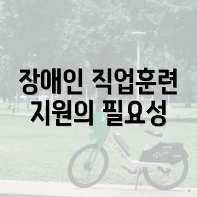 장애인 직업훈련 지원의 필요성