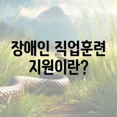 장애인 직업훈련 지원이란?