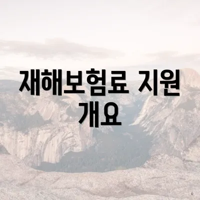 재해보험료 지원 개요