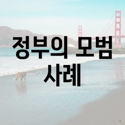 정부의 모범 사례