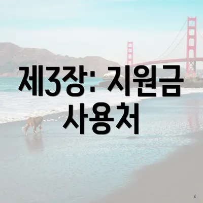 제3장: 지원금 사용처
