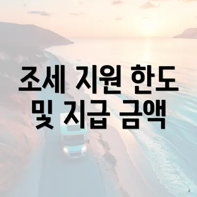 조세 지원 한도 및 지급 금액