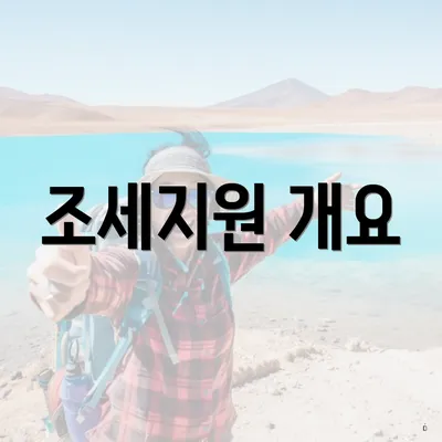조세지원 개요