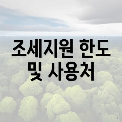 조세지원 한도 및 사용처
