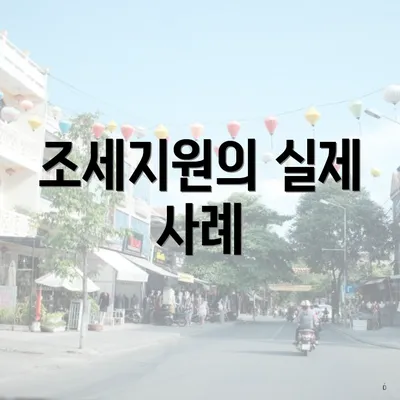 조세지원의 실제 사례