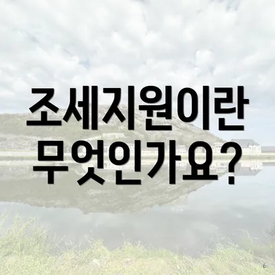 조세지원이란 무엇인가요?