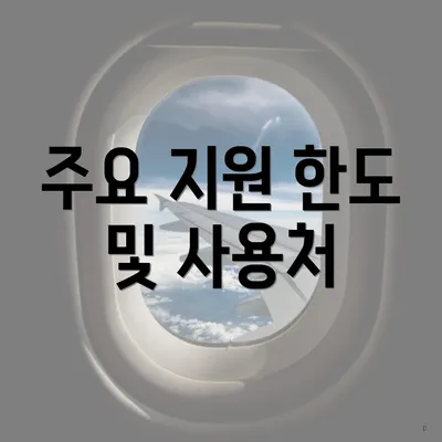 주요 지원 한도 및 사용처