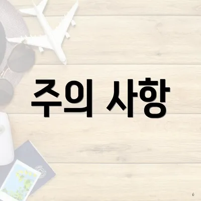 주의 사항