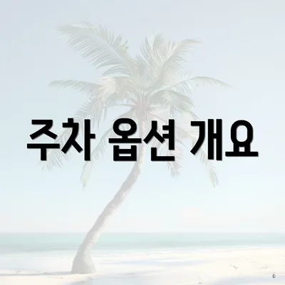 주차 옵션 개요