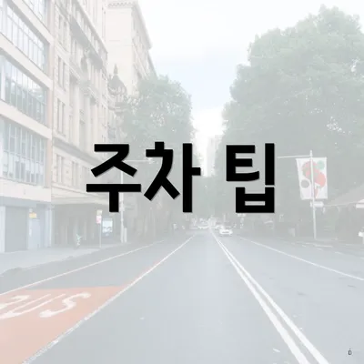 주차 팁