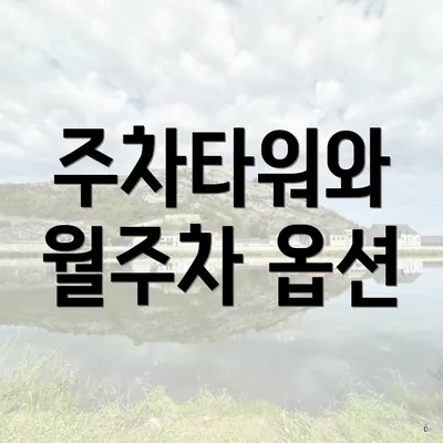 주차타워와 월주차 옵션