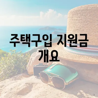 주택구입 지원금 개요