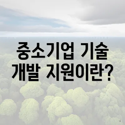 중소기업 기술 개발 지원이란?