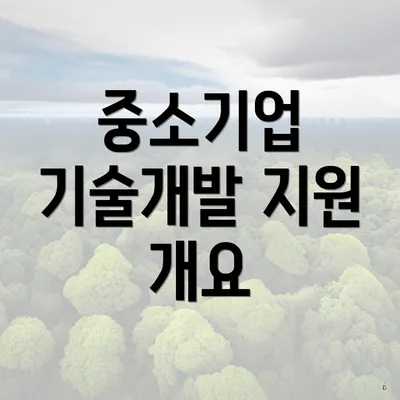중소기업 기술개발 지원 개요