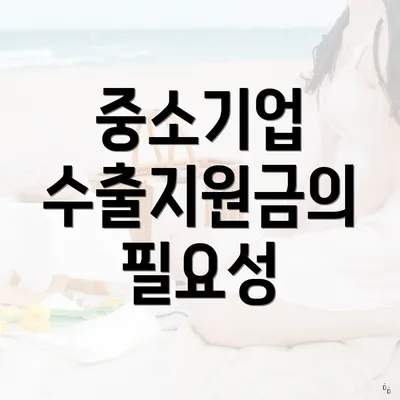 중소기업 수출지원금의 필요성