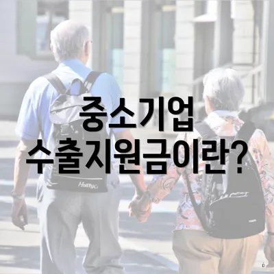 중소기업 수출지원금이란?
