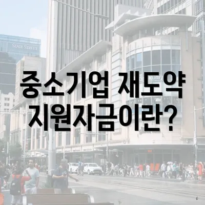 중소기업 재도약지원자금이란?