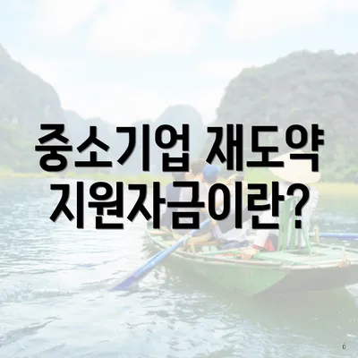 중소기업 재도약지원자금이란?