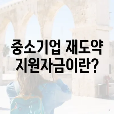 중소기업 재도약지원자금이란?