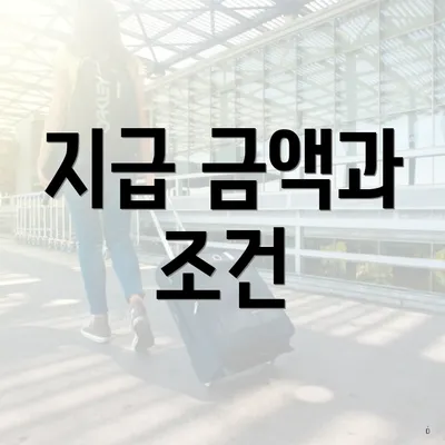 지급 금액과 조건