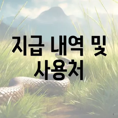 지급 내역 및 사용처