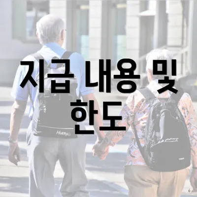지급 내용 및 한도