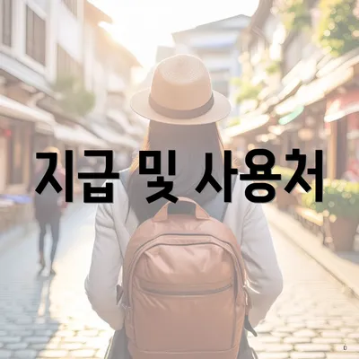 지급 및 사용처