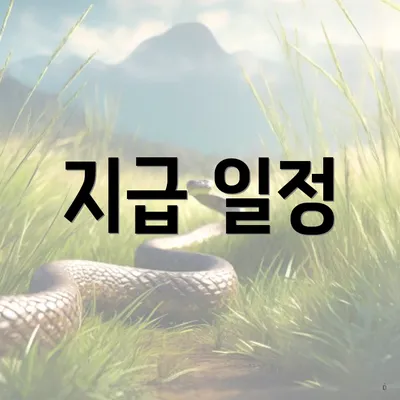 지급 일정