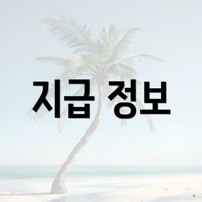 지급 정보