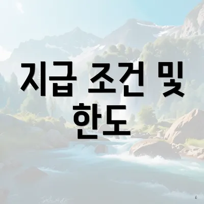 지급 조건 및 한도