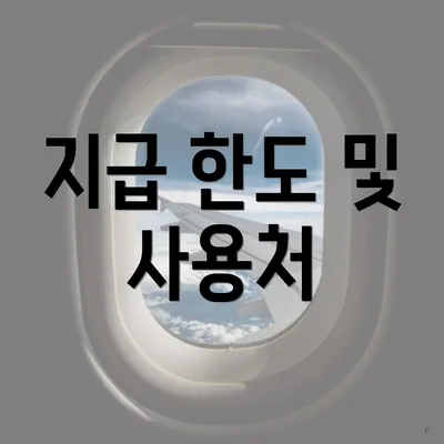 지급 한도 및 사용처