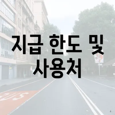 지급 한도 및 사용처