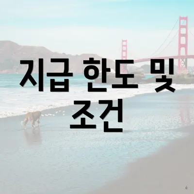 지급 한도 및 조건