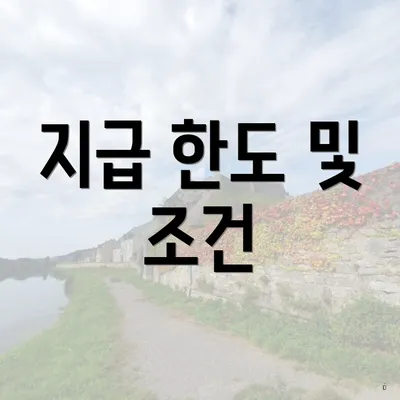 지급 한도 및 조건