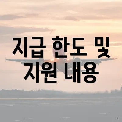지급 한도 및 지원 내용
