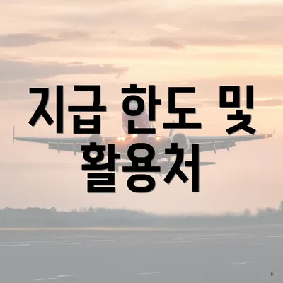 지급 한도 및 활용처