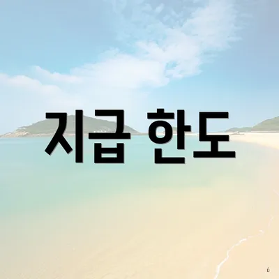 지급 한도