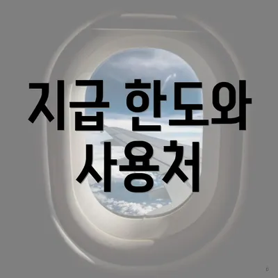 지급 한도와 사용처