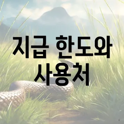지급 한도와 사용처
