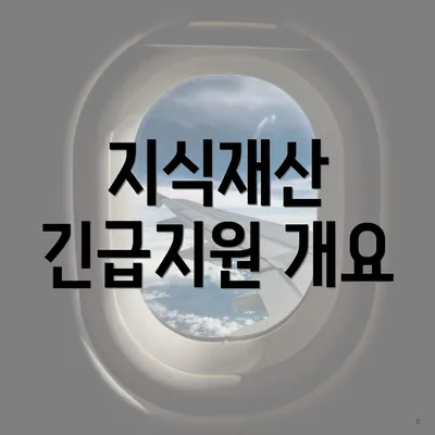 지식재산 긴급지원 개요