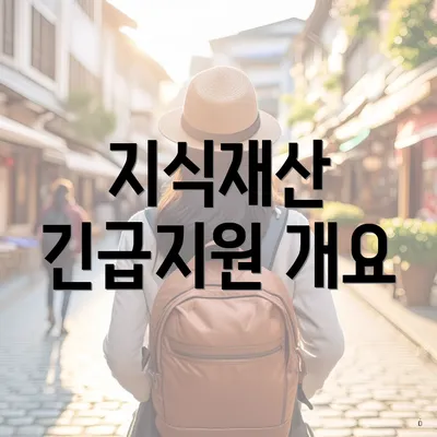 지식재산 긴급지원 개요