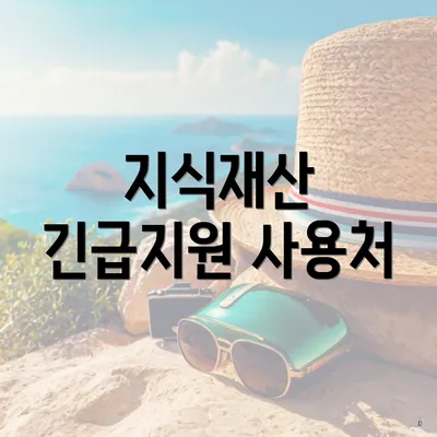 지식재산 긴급지원 사용처