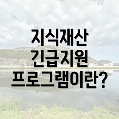 지식재산 긴급지원 프로그램이란?