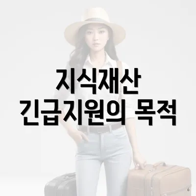 지식재산 긴급지원의 목적
