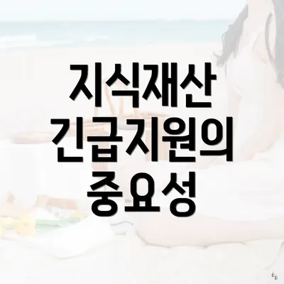 지식재산 긴급지원의 중요성